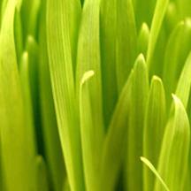 手机攻击器APP下载