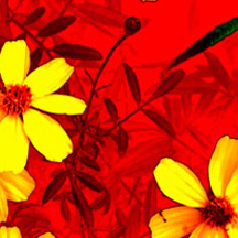 ddos攻击器安卓ios下载