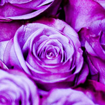 快速解压缩的在线DDOS平台攻击